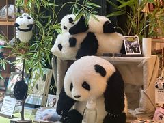 -轩客会(熊猫书店)