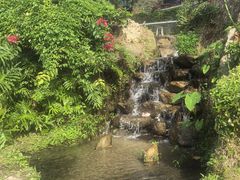 -广东天露山旅游度假区