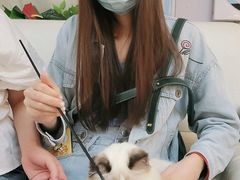 -lincat·猫舍(广州店)