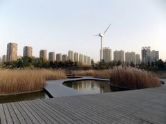 -长白岛森林公园