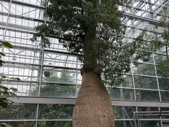 -南山植物园