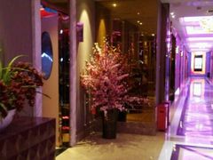 -Miohca缪卡KTV(和平店)
