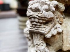 -觀芷隐轩