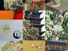-常熟方塔园
