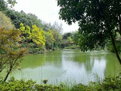-和顺柏联温泉