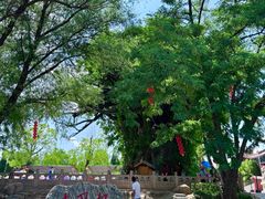 -大槐树寻根祭祖园