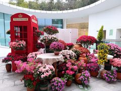 -云溪植物园