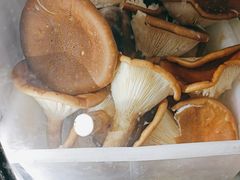 -畲乡一品鱼府土菜馆