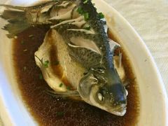 -九头鸟酒家(四道口店)