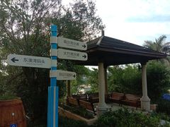 -东澳岛
