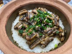 -红星光发煲仔饭(大石街店)