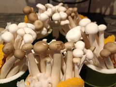 -诺筵汤品·菌汤火锅(南河坝店)