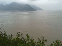 -北岐滩涂
