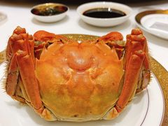 -潮府馆·非遗潮州菜·世纪公园(新国际博览中心店)