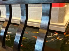 -龙悦湾酒家·八阵鱼生·渔人码头店