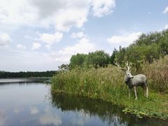 -溱湖国家湿地公园