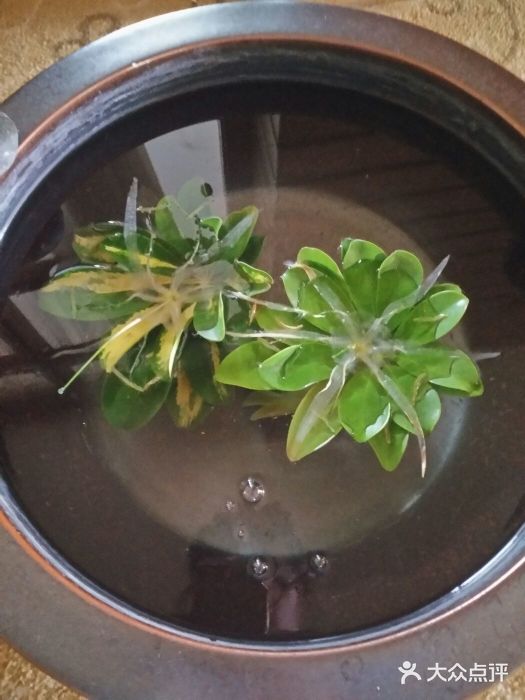 湖泉半山温泉(湖泉生态园)图片