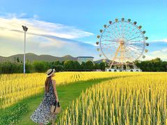 -云幽谷旅游区