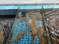 -争先鲜·蒸汽海鲜自助·鲜切牛肉