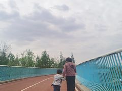 -白鹭湾湿地公园