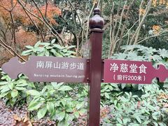 -九曜山