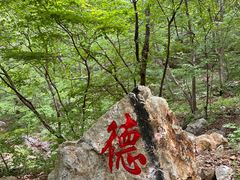 -大连天门山国家森林公园
