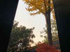 -包公祠