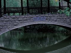-合肥滨湖国家森林公园