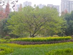 -重庆彩云湖湿地公园