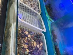 -俏东方·海味水饺·青岛菜(崂山店)