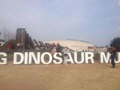 -自贡恐龙博物馆