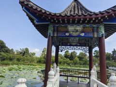 -青龙山国家森林公园