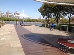 iphone_upload_pic-新江湾城公园