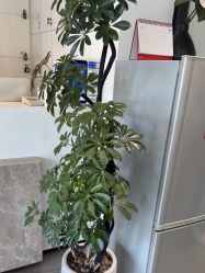 -LJOY丽锦造型·烫发染发