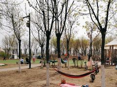 -天津东丽湖风景区