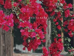 -海兰云天度假区温泉