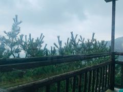 -葛子涧农家宴