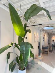 -YesYoga瑜伽普拉提塑形体雕馆