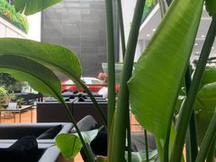 -奔驰利星行(北京花乡店)