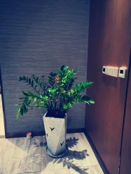 -苑苑vbeauty科技美容SPA