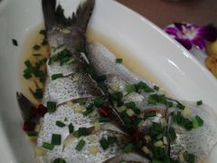 曝腌白条-西陵饭店