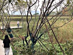 -盘龙城国家考古遗址公园