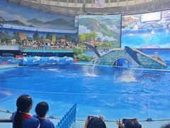 -海合安成都极地海洋公园