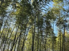 -同里国家湿地公园