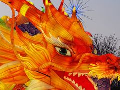 -武汉园博园(武汉自然博物馆)