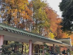 -中山市树木园