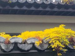 -西湖天地