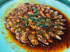 虾酱花蛤-民国红公馆·秦淮八艳(夫子庙店)
