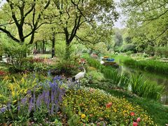 -上海共青森林公园