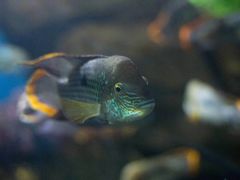 -石林冰雪海洋世界